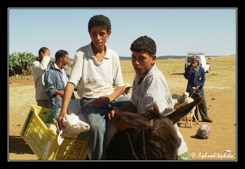 15 Tunisie portraits